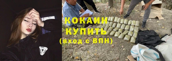 spice Лиски